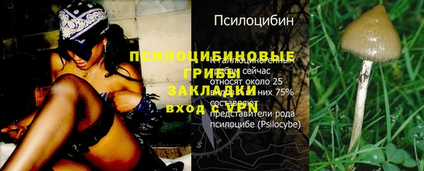 гидра Алексин